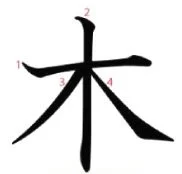 Pohon Kanji Pohon Kanji Alfabet Jepang